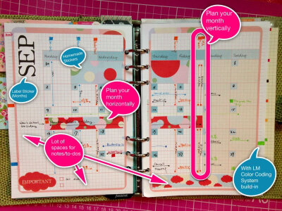 diyfish monthly plan