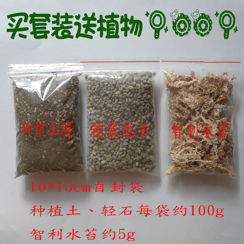 苔藓微景观 盆栽绿植 DIY专用材料包 进口轻石 智利水苔 种植土壤