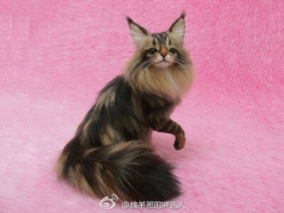  #羊毛毡小萌猫#说小萌猫好像也不大合适，至少有一只超级霸气呀~拖着长长的尾巴像披着华贵的皮草，一副睥睨天下你们都是我的臣民的即视感......作者是Lily，Tokyo, Japan