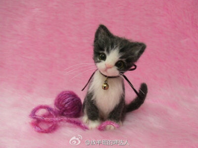  #羊毛毡小萌猫#说小萌猫好像也不大合适，至少有一只超级霸气呀~拖着长长的尾巴像披着华贵的皮草，一副睥睨天下你们都是我的臣民的即视感......作者是Lily，Tokyo, Japan。