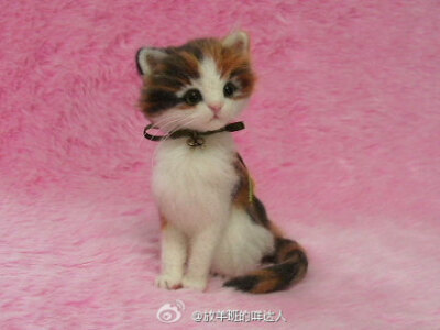  #羊毛毡小萌猫#说小萌猫好像也不大合适，至少有一只超级霸气呀~拖着长长的尾巴像披着华贵的皮草，一副睥睨天下你们都是我的臣民的即视感......作者是Lily，Tokyo, Japan。