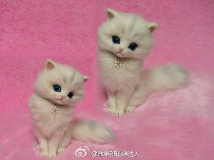  #羊毛毡小萌猫#说小萌猫好像也不大合适，至少有一只超级霸气呀~拖着长长的尾巴像披着华贵的皮草，一副睥睨天下你们都是我的臣民的即视感......作者是Lily，Tokyo, Japan。