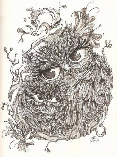 Owl