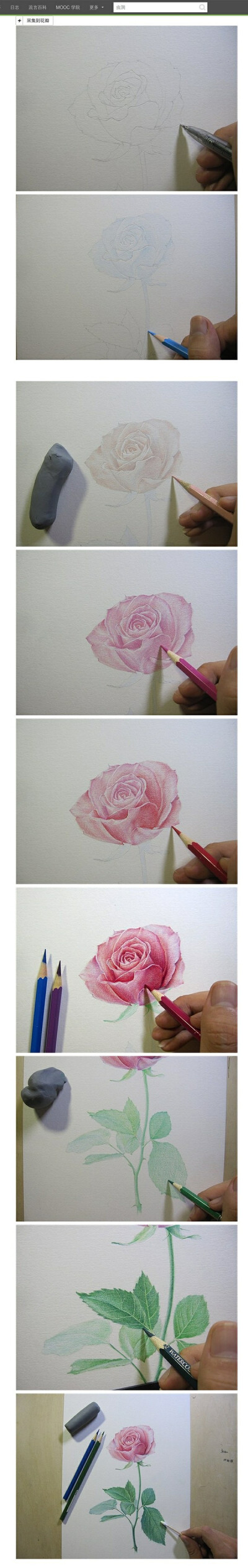 【绘画教程】玫瑰的彩铅教程