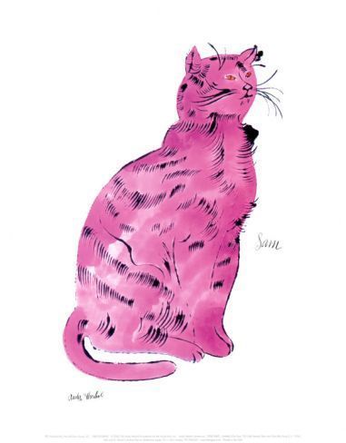 每一只猫都叫sam——BY：Andy Warhol（安迪·沃霍尔）