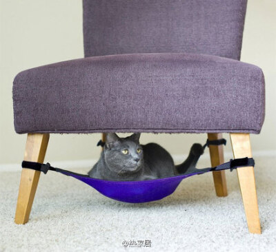 专门为猫咪设计的家具，爱猫人士必备～～