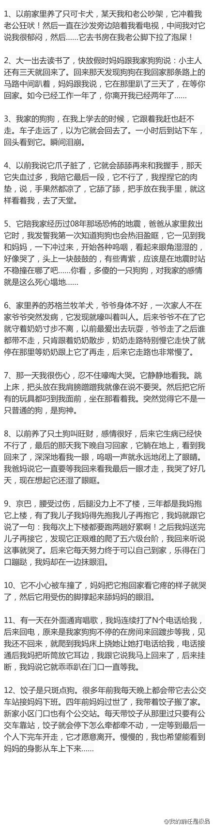 看完你才会明白，为何这么多人把宠物当成家人，为什么有人会神经兮兮地与宠物对话。