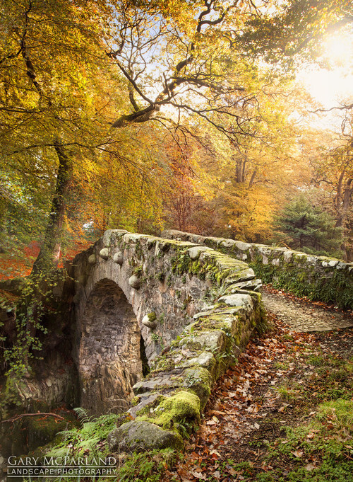 Medieval Bridge, Tol...