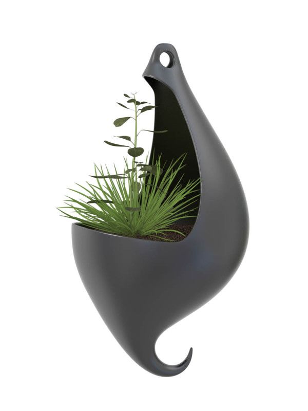 Perform Hookie With These Hanging Planters - http://www.decoradecor.com/perform-hookie-with-these-hanging-planters.html