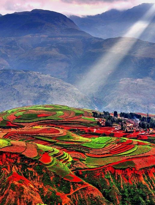 Luoxiagou,Dongchuan,Yunnan,China。云南东川落霞沟。“落霞沟”是彩霞落脚的地方。天空之大，彩霞之多，变化之快，形状之异是任何画家无法绘制的，那美不胜收的景色也难以用文字描述。若到“落霞沟”，展现在你面前的形状及色彩就向一只振翔北飞的凤凰。