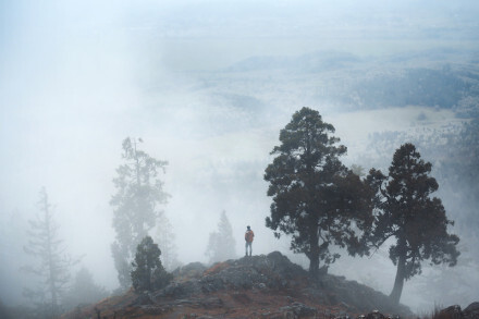 美丽世界的独行者。丨来自加拿大摄影师Elizabeth Gadd。