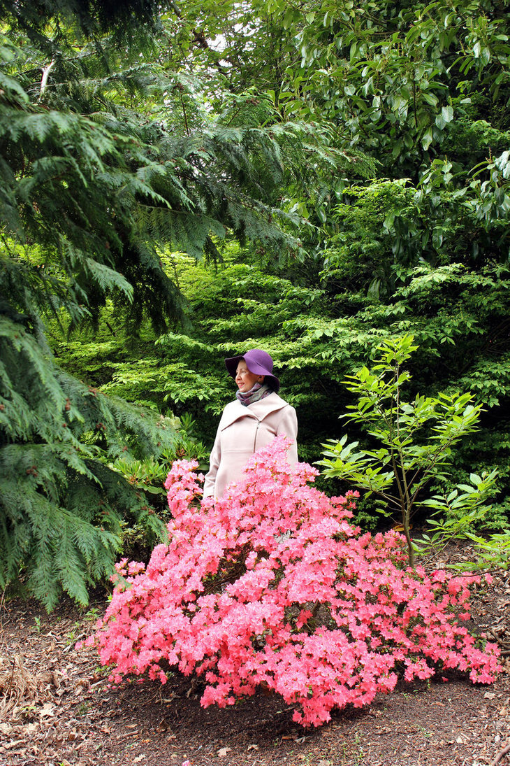 A Lady In An Azalea Flamenco Dress by aegiandyad