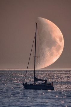 月亮或帆？