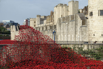 位于英国伦敦皇家宫殿，888.246个陶瓷罂粟花用于纪念战争时期牺牲的英军。