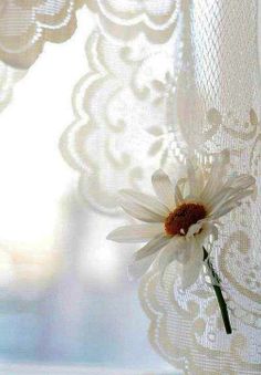 Lace and daisy tie back