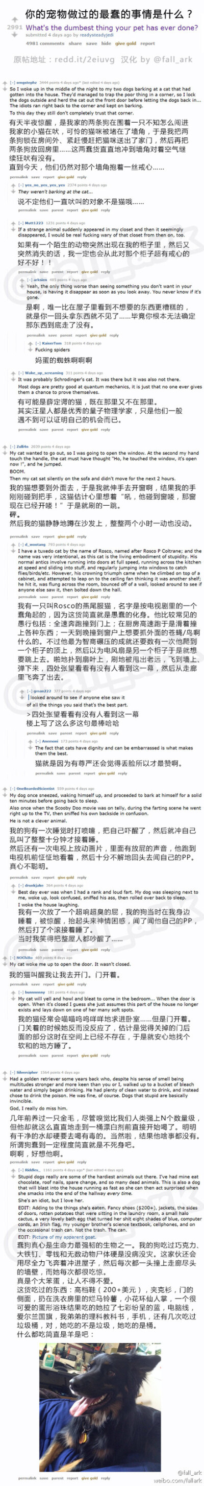 reddit问答帖：你的宠物做过的最蠢的事情是什么？大家纷纷说起了自家汪星人喵星人各种星人们的坑爹往事，并在阅读过程中获得智商上的优越感……（原帖地址：redd.it/2eiuvg）