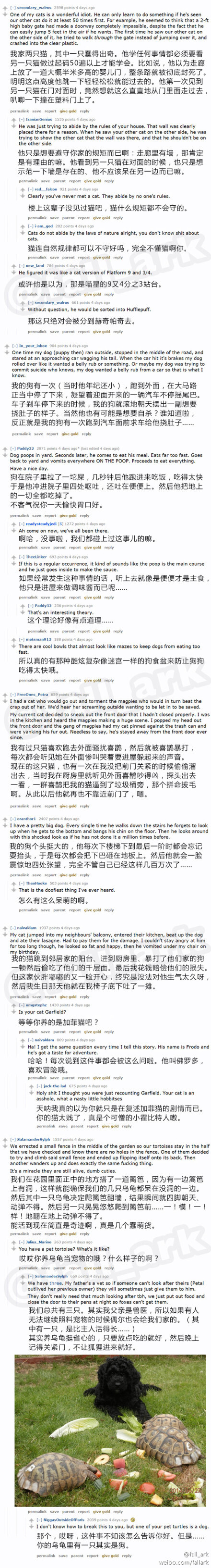 reddit问答帖：你的宠物做过的最蠢的事情是什么？大家纷纷说起了自家汪星人喵星人各种星人们的坑爹往事，并在阅读过程中获得智商上的优越感……（原帖地址：redd.it/2eiuvg）