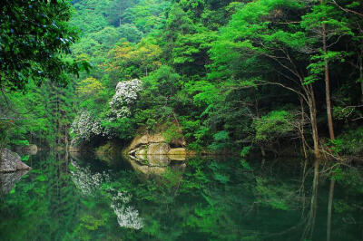 铜铃山国家森林公园