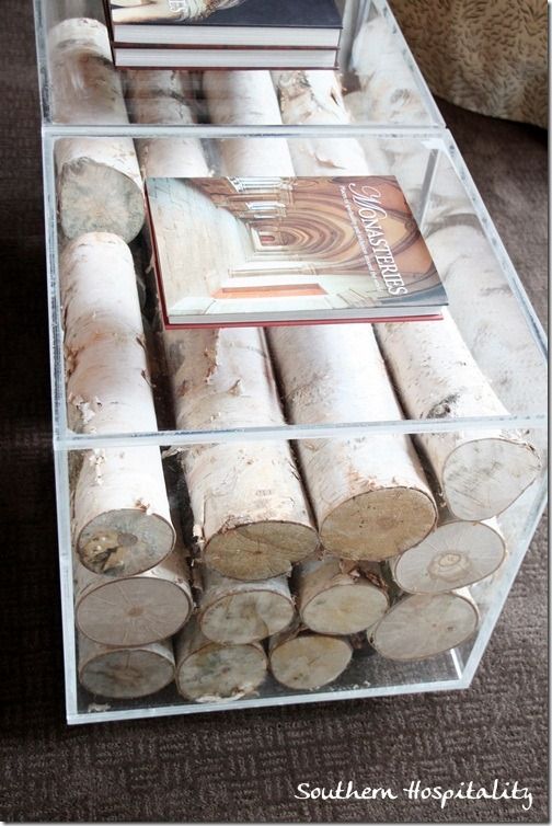 Birch logs inside a lucite coffee table - beautiful