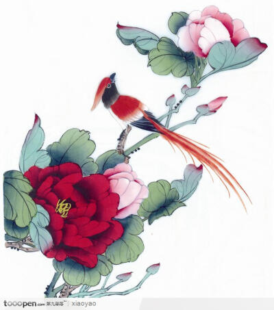 工笔画 牡丹图