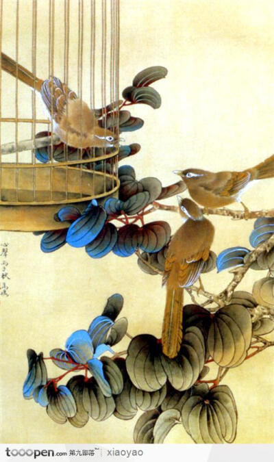 工笔画—花鸟图