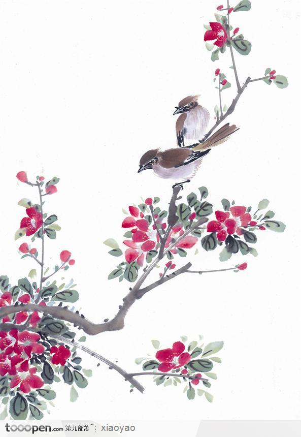 工笔画—花鸟图