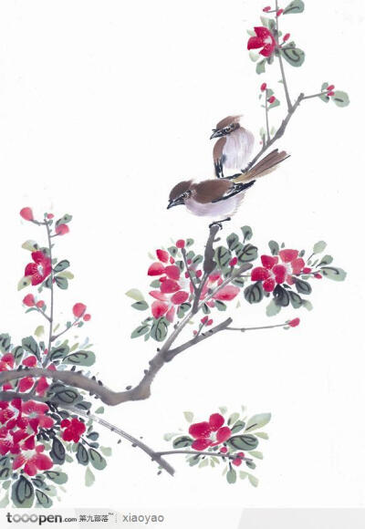 工笔画—花鸟图