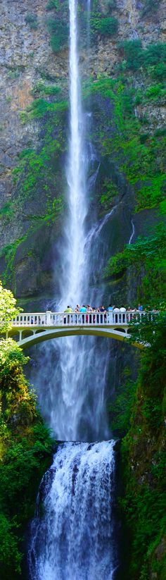 旅行  欧洲  城堡  岛屿  日本