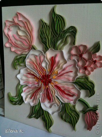 Pintura mural dibujo Contour Quilling Quilling - Flores de Papel Foto de la banda 1