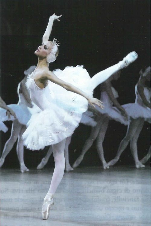 swan lake