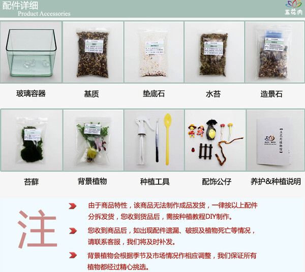 【去哪】苔藓微景观生态瓶 创意绿植盆栽 新款特惠 顺丰包邮