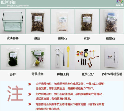 【去哪】苔藓微景观生态瓶 创意绿植盆栽 新款特惠 顺丰包邮