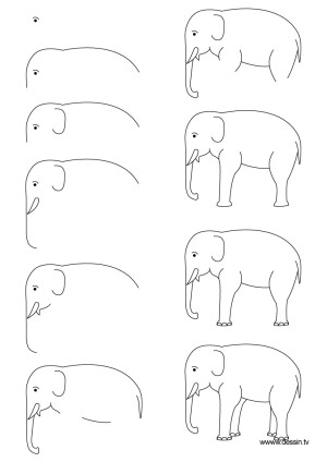 大象繪畫教程