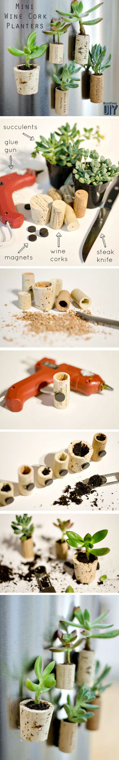 3 Ways To Make A Beautiful DIY Planter