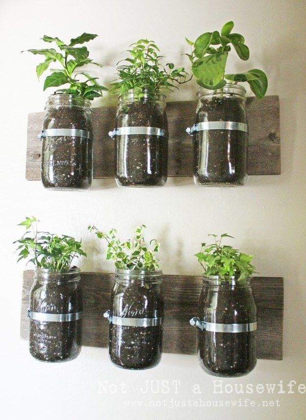 Plant a kitchen herb garden. | 17 Things To Do When You Are Bored Out Of Your Mind, I'm gonna do this!