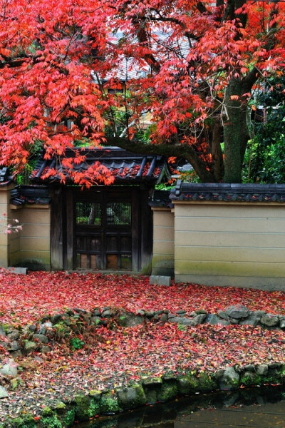 春來(lái)青苔上階，夏闕雨簷成簾；秋暉紅葉鋪地，冬盡隱客足痕。院門(mén)的春夏秋冬。