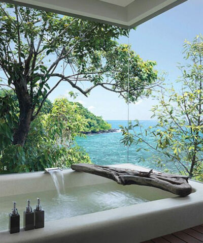 Bathtub with a view.