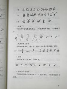 ltalic一意大利体