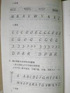 ltalic一意大利体