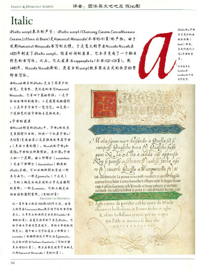 AOC翻译ltalic部分