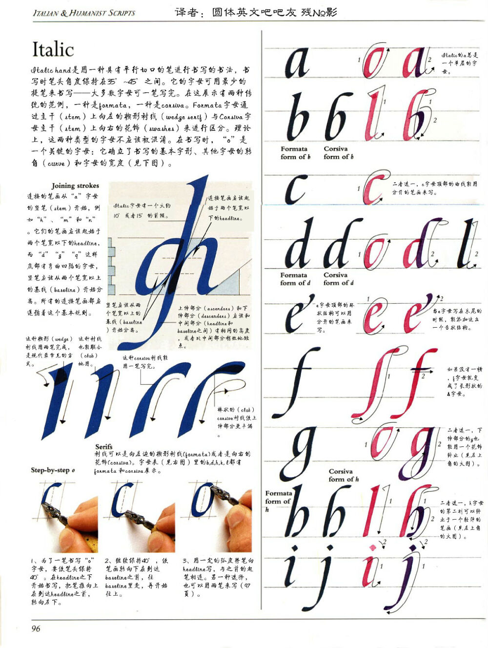 AOC翻译ltalic部分