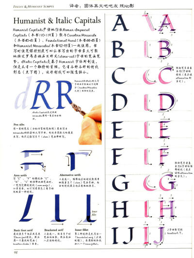 AOC翻译ltalic部分