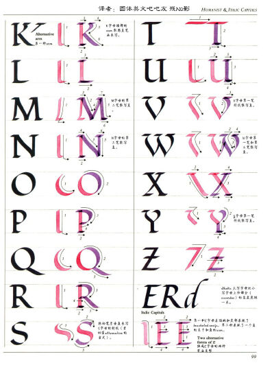 AOC翻译ltalic部分