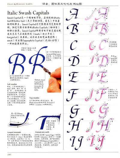 AOC翻译ltalic部分