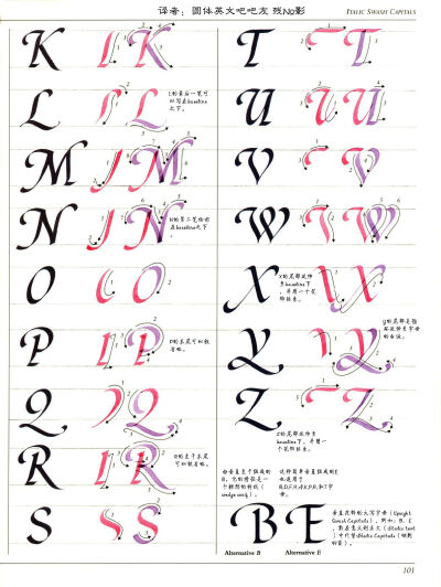 AOC翻译ltalic部分