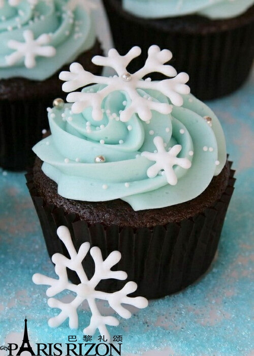 冰雪奇缘风——巴黎礼颂