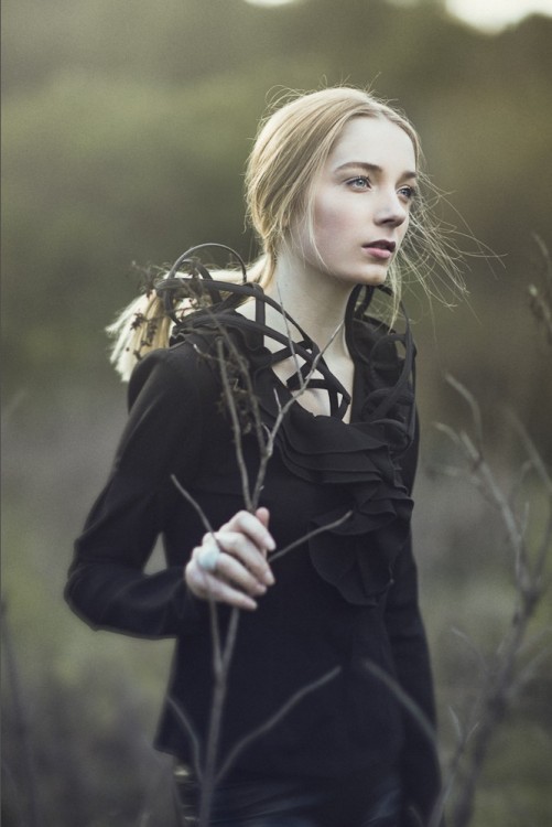 点击查看源网页