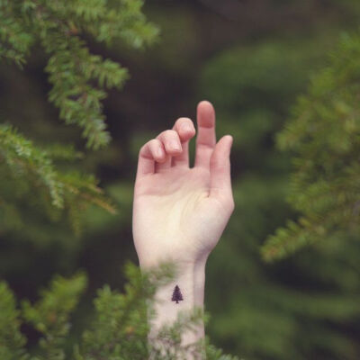 99 Impossibly Small And Cute Tattoos Every Girl Would Want~~~ Maybe an oak instead of a pine...