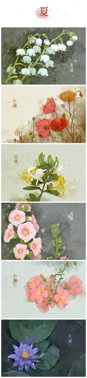 花卉图鉴- 堆糖
