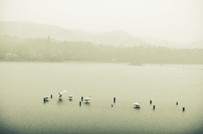 杭州西湖，远处轻舟摇曳，薄雾轻烟中如诗如画。Photo:付军